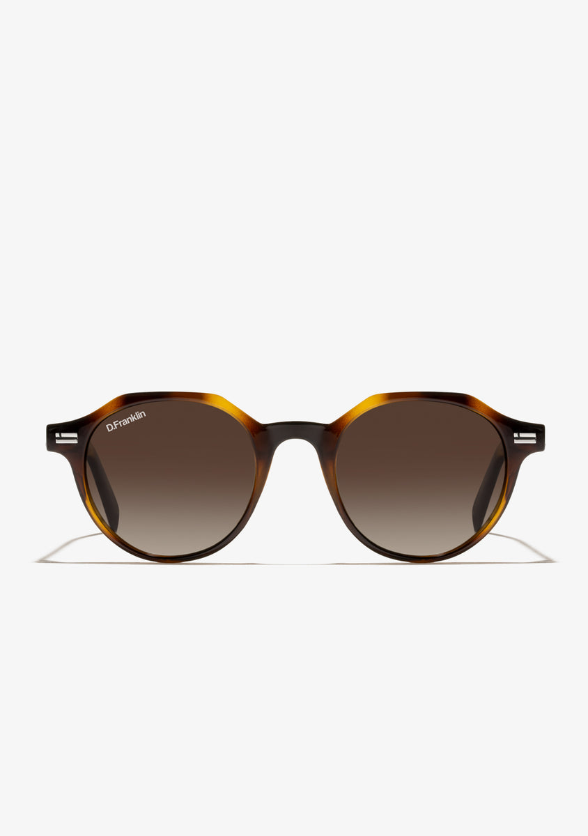Ashdown Sunglasses in Brown | Native Eyewear® US