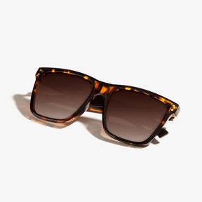 Roosevelt II Carey / Brown V.1