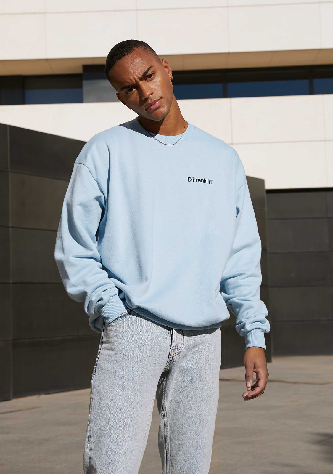 Sweatshirt Oversized D.Franklin Basic Blue