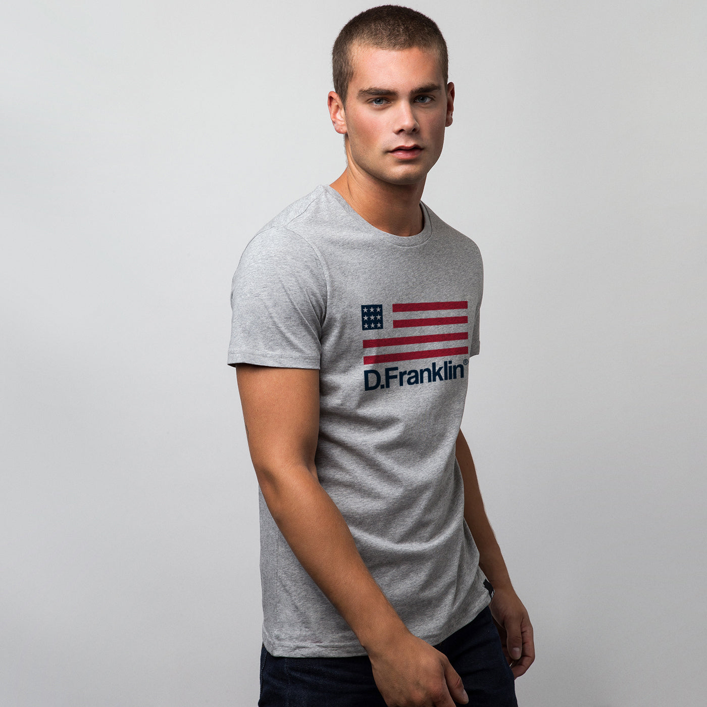 D.Franklin Flag Grey