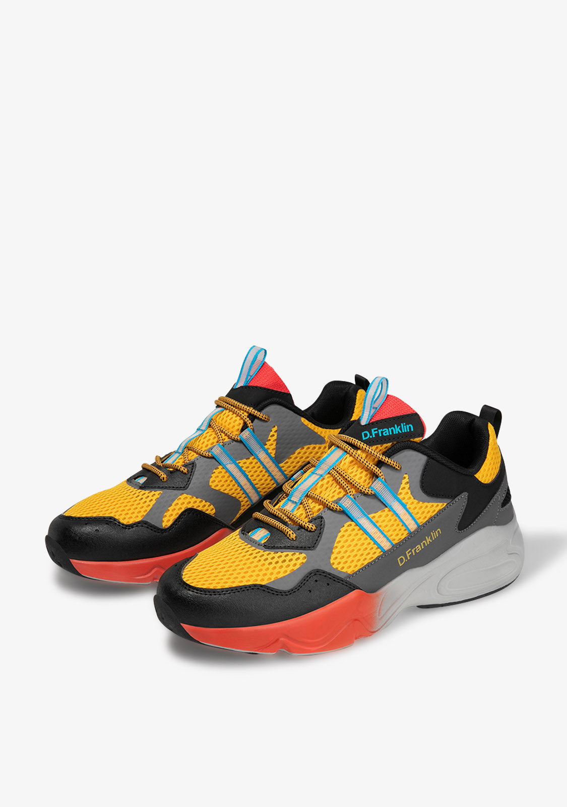 Basket d sale franklin
