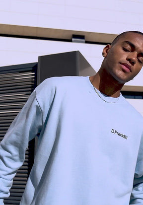 Sweatshirt Oversized D.Franklin Basic Blue